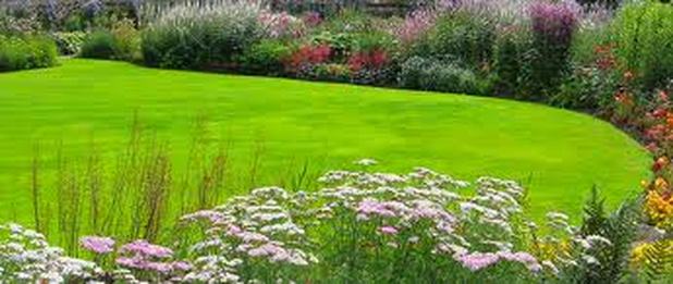 residential lawn care services and light landscaping