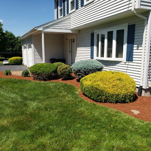 hedge trimming North Haven CT