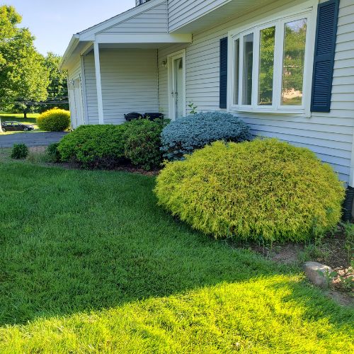 hedge trimming North Haven CT