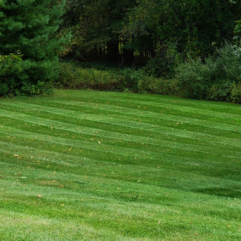 land clearing services North Haven CT