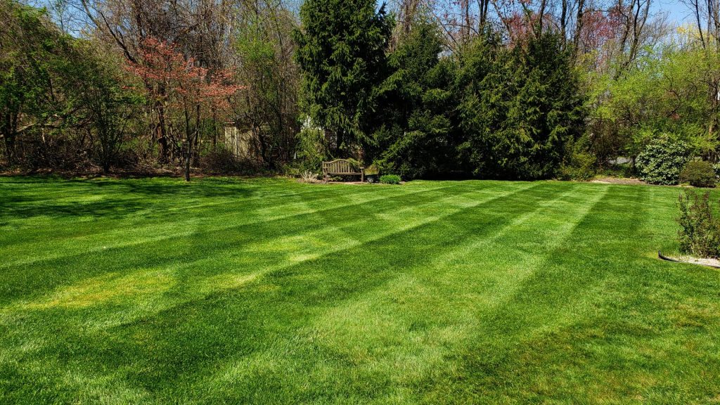 lawn weed and fertilizer North Haven CT