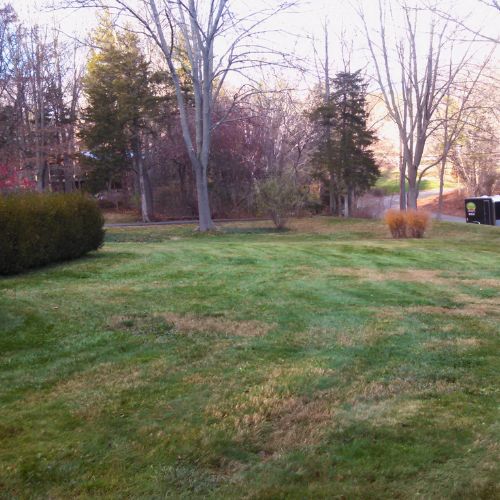 spring and fall cleanup North Haven CT