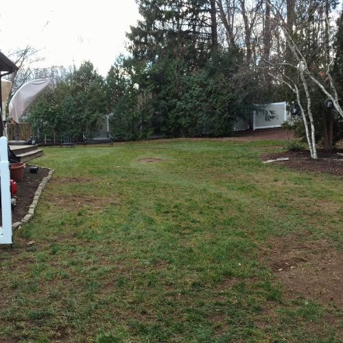spring and fall cleanup North Haven CT after