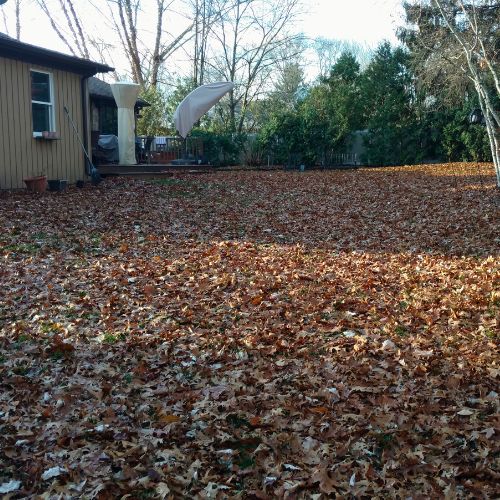 spring and fall cleanup North Haven CT before