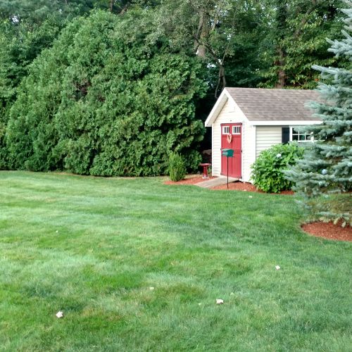 weeds control North Haven CT