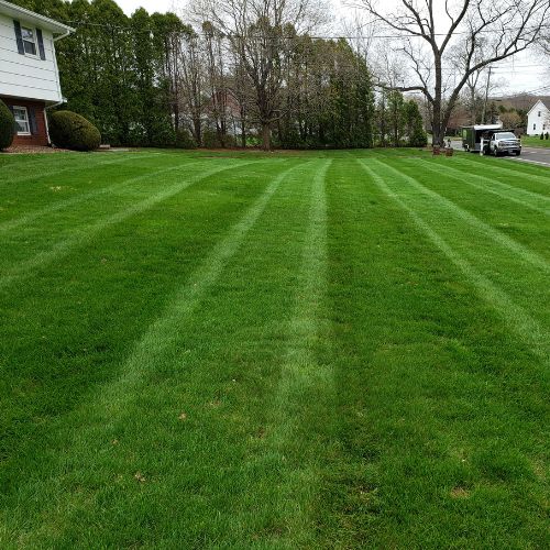 yard pest control North Haven CT